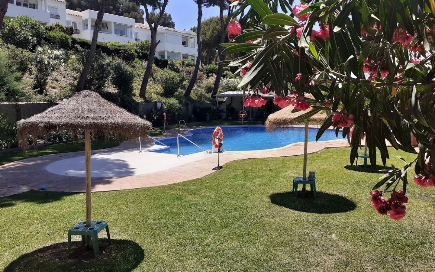 Jardin B Pool 1