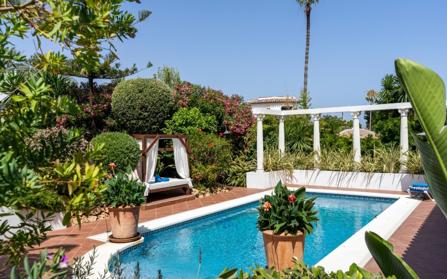 Pool & daybed