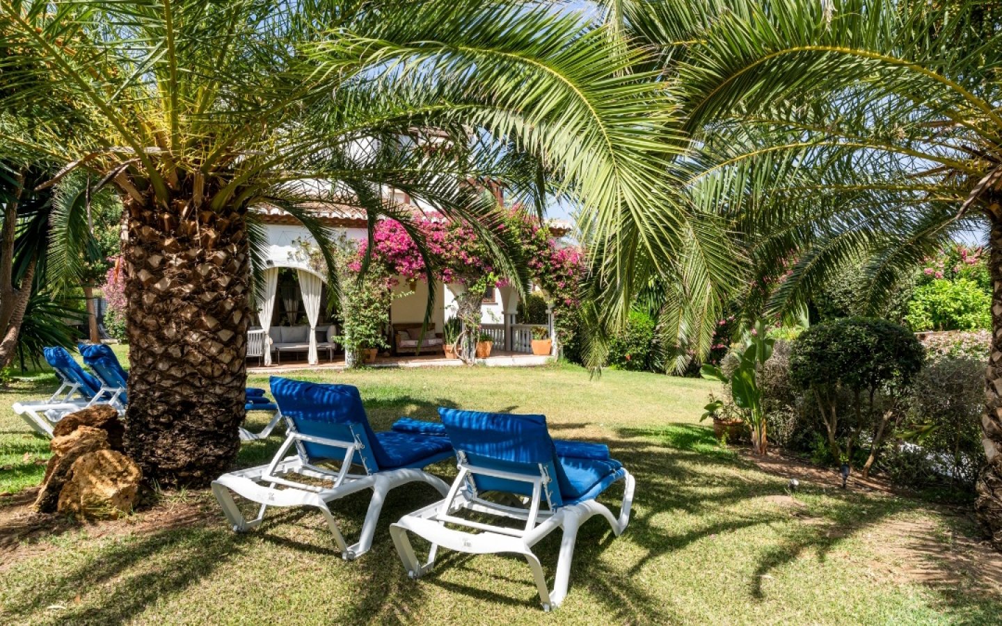 Garden & Pool