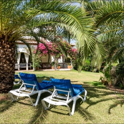 Garden & Pool